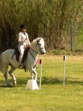 DSC02557