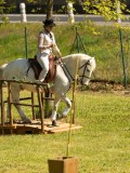 DSC02560