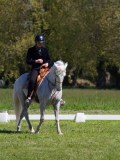 IMG_0142