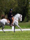 IMG_0153