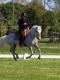 IMG_0166