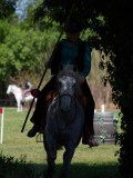 IMG_0500