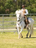 24_08503