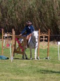 IMG_0291