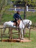 IMG_0293