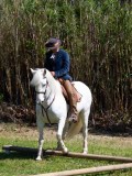 IMG_0295