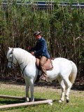 IMG_0296