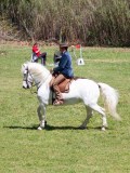 IMG_0297
