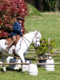 IMG_0300