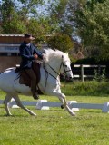 IMG_1049