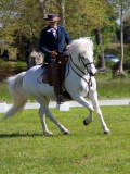 IMG_1051