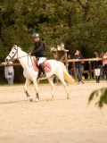 DSC07614 DSC07614