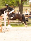 DSC08146 DSC08146