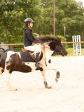 DSC08154 DSC08154