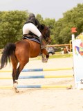DSC08525