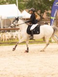 DSC00548 DSC00548