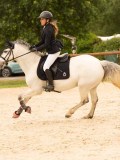 DSC00559 DSC00559