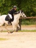 DSC00567 DSC00567
