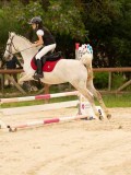 DSC09374 DSC09374
