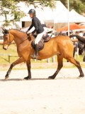 DSC03349 DSC03349