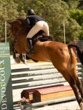 DSC03354 DSC03354