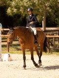 DSC03368 DSC03368