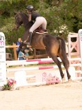 DSC01758 DSC01758