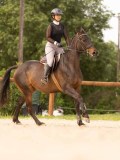 DSC01763 DSC01763