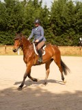 DSC01614 DSC01614