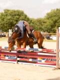 DSC01624 DSC01624