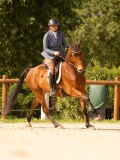 DSC01629 DSC01629