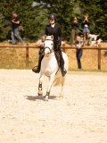 DSC04566 DSC04566