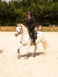 DSC04567 DSC04567