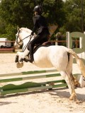 DSC04568 DSC04568