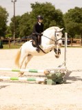 DSC04576 DSC04576