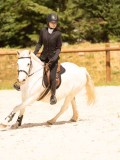 DSC04579 DSC04579