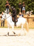 DSC04580 DSC04580