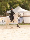 DSC03739 DSC03739