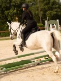 DSC03744 DSC03744