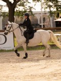 DSC03745 DSC03745