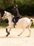 DSC03748 DSC03748