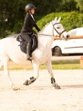 DSC03754 DSC03754