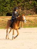 DSC03410 DSC03410