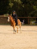 DSC03416 DSC03416