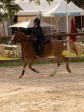DSC03419 DSC03419