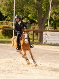 DSC03427 DSC03427