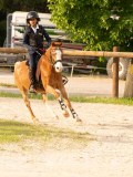 DSC03429 DSC03429
