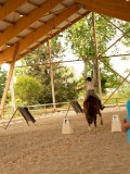 DSC00242 DSC00242