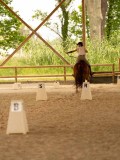 DSC00243 DSC00243