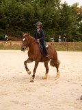 DSC04040